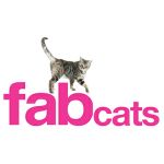 FAB Cats